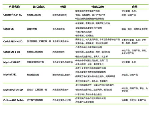 賽福網(wǎng)站 專業(yè)網(wǎng)站建設與服務