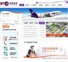 上海網站建設 專業、高效、全面的數字化解決方案提供商